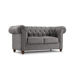 Двухместный диван Lapis, 170x90x80, серый цена и информация | Диваны | hansapost.ee