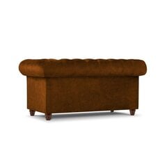 Двухместный диван Lapis, 170x90x80, коричневый цена и информация | Диваны | hansapost.ee