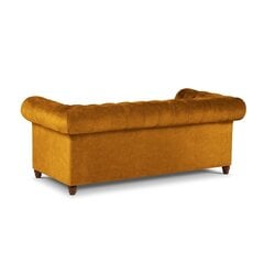 Трехместный диван Lapis, 224x90x80, желтый цена и информация | Диваны | hansapost.ee
