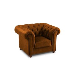 Кресло Lapis, 114x90x80 см, коричневое цена и информация | Кресла | hansapost.ee