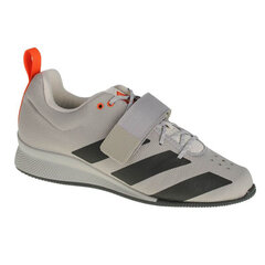 Meeste tossud Adidas, hall hind ja info | Spordijalatsid ja vabaajajalatsid meestele | hansapost.ee