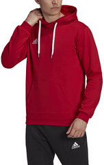 Джемпер Adidas Ent22 Hoody Red H57514 H57514/3XL цена и информация | Мужские толстовки | hansapost.ee