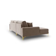Пятиместный диван Velvet Larnite, 254x182x90 см, коричневый цвет цена и информация | Угловые диваны | hansapost.ee