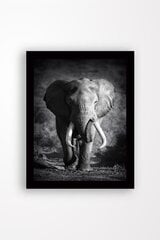 Репродукция Слон цена и информация | Картины, живопись | hansapost.ee