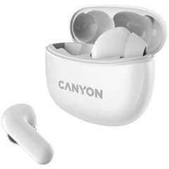 Canyon TWS-5 White CNS-TWS5W цена и информация | Наушники | hansapost.ee