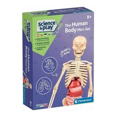 Развивающая игра Clementoni Human Body Mini цена и информация | Развивающие игрушки для детей | hansapost.ee