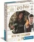 Lauamäng Clementoni Harry Potter into the cauldron, EN hind ja info | Lauamängud ja mõistatused perele | hansapost.ee