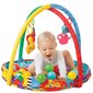 Mängumatt, PLAYGRO, 0184007 hind ja info | Arendavad tegelusmatid | hansapost.ee