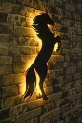 Декоративный настенный светильник Wild Horse, 1 шт. цена и информация | Детали интерьера | hansapost.ee