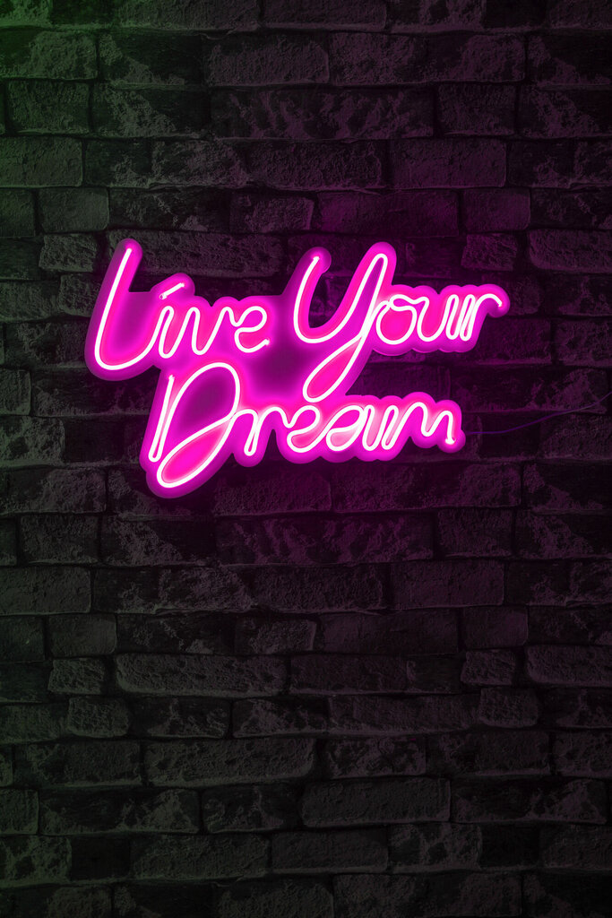 Dekoratiivne seinavalgusti Live Your Dream, 1 tk. цена и информация | Sisustuselemendid | hansapost.ee