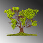 Seinakaunistus Tree 2, 1 tk. цена и информация | Sisustuselemendid | hansapost.ee