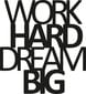 Seinakaunistus Work Hard Dream Big, 1 tk. hind ja info | Sisustuselemendid | hansapost.ee
