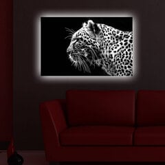 Reproduktsioon Lumeleopard 4570DACT-44 hind ja info | Seinapildid | hansapost.ee