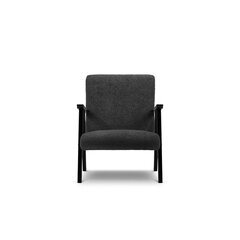 Кресло Browne, 79x59x78 см, черное цена и информация | Кресла | hansapost.ee