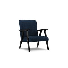 Кресло Browne, 79x59x78 см, синее цена и информация | Кресла | hansapost.ee