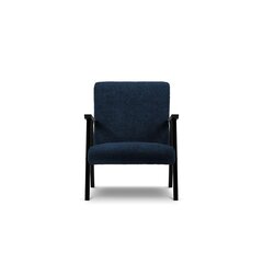 Кресло Browne, 79x59x78 см, синее цена и информация | Кресла | hansapost.ee
