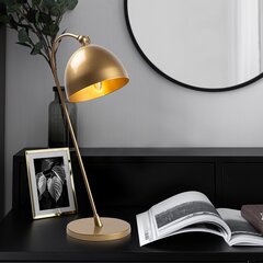 Настольная лампа Opviq Acuka 12291 цена и информация | Настольные лампы | hansapost.ee