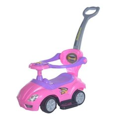 Laste tõukeauto Baby Mix UR-FLB 301, roosa hind ja info | Beebide mänguasjad | hansapost.ee