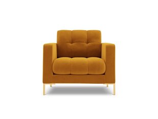 Кресло Cosmopolitan Design Bali 1S-V, желтый / золотистый цвет цена и информация | Кресла | hansapost.ee
