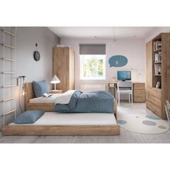 Кровать Aatrium Fribo, 90x200 см, коричневый цвет цена и информация | Кровати | hansapost.ee