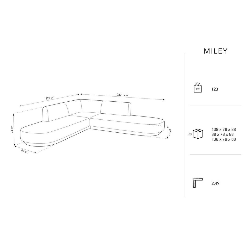 Sametist sümmeetriline nurgadiivan Micadoni Miley, 220 x 220 x 74, roheline hind ja info | Diivanvoodid ja diivanid | hansapost.ee