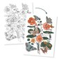 Suured värvimislehed Nature Djeco DJ08696 hind ja info | Kunstitarbed, voolimise tarvikud | hansapost.ee