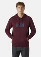 Helly Hansen meeste dressipluus HH LOGO, bordoopunane