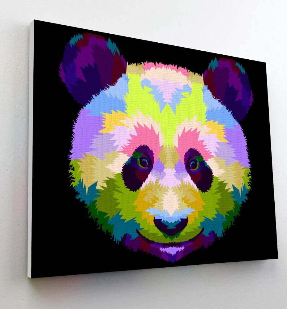 Maal numbrite järgi Panda, Splat Planet, 30x40 cm цена и информация | Maalimiskomplektid numbrite järgi | hansapost.ee