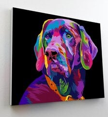 Картина по номерам Собака, Splat Planet, 30х40 см цена и информация | Живопись по номерам | hansapost.ee
