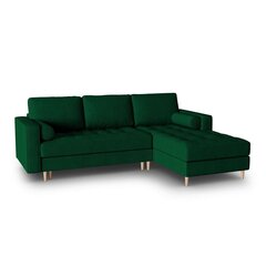 Правосторонний угловой диван Velvet Gobi, 240x175x96 см, зеленый цена и информация | Угловые диваны | hansapost.ee