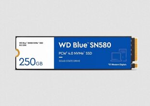 WD Blue SN580 WDS250G3B0E цена и информация | Внутренние жёсткие диски (HDD, SSD, Hybrid) | hansapost.ee