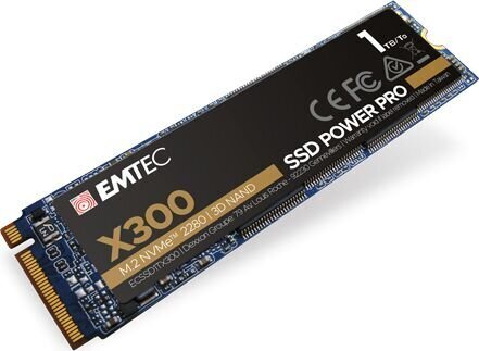 Emtec X300 Power Pro ECSSD1TX300 цена и информация | Sisemised kõvakettad | hansapost.ee