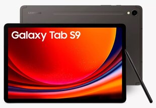 Samsung Galaxy Tab S9 WiFi Graphite SM-X710NZAAEUB цена и информация | Планшеты | hansapost.ee