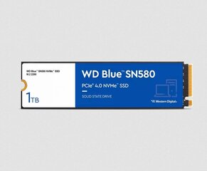 WD WDS100T3B0E hind ja info | Sisemised kõvakettad | hansapost.ee
