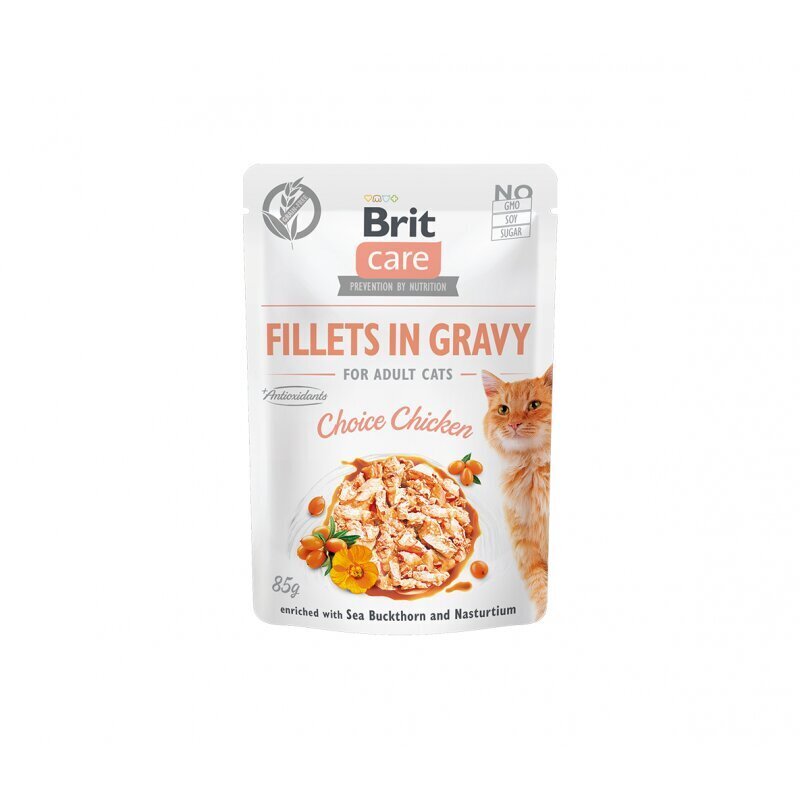 Brit Care Fillets in Gravy koos kanaga, 24x85 g hind ja info | Kassikonservid | hansapost.ee