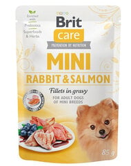 Brit Care Care Mini Adult Pouch väikest tõugu koertele koos küüliku ja lõhega, 24x85g hind ja info | Koerakonservid | hansapost.ee