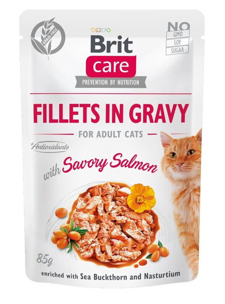 Brit Care Fillets in gravy koos lõhega, 24 x 85 g price and information | Kassikonservid | hansapost.ee