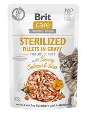 Brit Care Fillets in Gravy steriliseeritud kassidele koos lõhe ja tuunikalaga, 24x85 g hind ja info | Kassikonservid | hansapost.ee