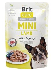 Brit Care Mini Adult Pouch для собак мелких пород с ягненком, 24x85 г цена и информация | Консервы для собак | hansapost.ee