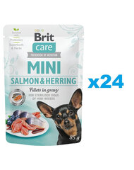 Brit Care Mini Pouch kastreeritud väikest tõugu koertele koos lõhe ja heeringaga, 24x85g hind ja info | Koerakonservid | hansapost.ee