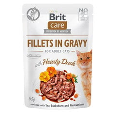 Brit Care Fillets in gravy с уткой, 24 x 85 г цена и информация | Консервы для кошек | hansapost.ee