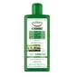 Tricologica Shampoo Anti-Caduta Fortificante tugevdav šampoon juuste väljalangemise vastu 300ml цена и информация | Šampoonid | hansapost.ee