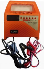 Зарядное устройство для аккумулятора PS849 цена и информация | Зарядные устройства | hansapost.ee