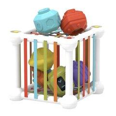 Игрушка для разбивания сенсорных кубиков - волшебный кубик цена и информация | Игрушки для малышей | hansapost.ee