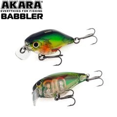 Voobler Akara Babbler A45 price and information | Landid, voblerid | hansapost.ee