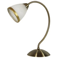 Настольная лампа Candellux 5541-96718 цена и информация | Настольные лампы | hansapost.ee