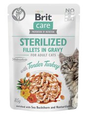 Brit Care Fillets in Gravy täiskasvanud steriliseeritud kassidele kalkunilihaga, 24x85g hind ja info | Kassikonservid | hansapost.ee