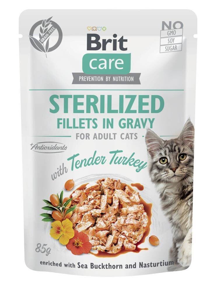 Brit Care Fillets in Gravy täiskasvanud steriliseeritud kassidele kalkunilihaga, 24x85g price and information | Kassikonservid | hansapost.ee