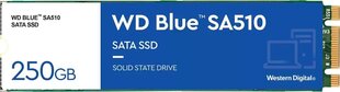 WD Blue SA510 WDS250G3B0B hind ja info | Sisemised kõvakettad | hansapost.ee