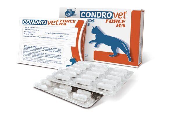 Lisand kassidele Bioiberica Condrovet Forse Ha, 45 kaps. цена и информация | Toidulisandid, vitamiinid ja parasiiditõrje | hansapost.ee